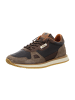 Cetti Sneaker Low in Braun
