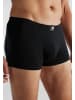 CECEBA Pants 10Er Pack Daytona in schwarz-dunkel-uni