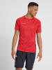 Hummel Hummel T-Shirt Hmlauthentic Multisport Herren Atmungsaktiv Feuchtigkeitsabsorbierenden in CHILI PEPPER