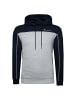 Champion Kapuzenpullover Hooded in grau