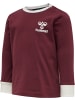 Hummel Shirt "Hmlmauilino T-Shirt L/S" in Braun