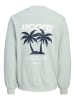 JACK & JONES Junior Sweatshirt in Aqua Gray