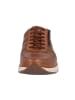 Solidus Schnürschuhe Kai - Weite M in Braun