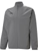 Puma Jacke "TeamLIGA Sideline Jacket" in Grau