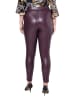 MIAMODA Leggings in aubergine