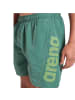 Arena Badeshorts Fundamentals Logo R in Grün