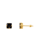 Steel_Art Ohrstecker Damen Tiber goldfarben in goldfarben