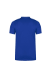 Nike Performance Fußballtrikot Dry Park VII in blau / weiß