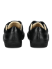 sneaky steve Sneaker Schwarz