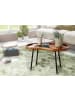 FineBuy Couchtisch in Braun / Sheesham / 40x71x42