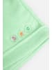 Coccodrillo Kurze Hose in grün