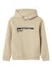 name it Sweatshirt in Peyote