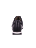 Gabor Schnürschuhe in darkblue
