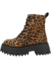 Buffalo Boots Aspen Lace Up Mid in multicolor