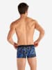 HOM Trunk Clash in blue print