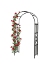 relaxdays Rosenbogen in Schwarz - (B)114 x (H)206 x (T)50 cm