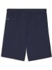 Puma Sporthose "TeamGoal Shorts" in Blau
