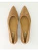 Paul Green Klassische Pumps in Braun