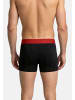 Bruno Banani Retro Short / Pant Flowing in Cranberry