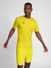 Hummel T-Shirt Hmlauthentic Herren in BLAZING YELLOW