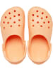 Crocs Clog Classic T in apricot in apricot