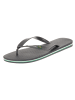 Ipanema Flipflops in Grau