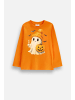 Coccodrillo Langärmliges Baumwoll-T-Shirt in orange