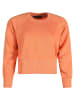 Freshlions Sweatshirt in Orange