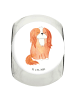 Mr. & Mrs. Panda Bonbonglas Hund Cavalier King Charles Spaniel o... in Weiß