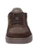 Sioux Sneaker Tertulio-700-H in dunkelbraun