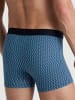 Calida Herren Shorts in Pottery bl