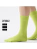 von Jungfeld Classic Socken Signature Innenbund in Hellgrün
