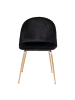 ebuy24 Esszimmerstuhl Geneve Schwarz 2er Set