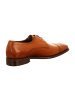 Floris van Bommel Business Schnürschuhe in Braun