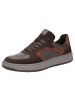 Sioux Sneaker Lorundos-700 in dunkelbraun