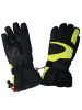 Zanier Lofer ZX Ski Handschuhe Wasser & Winddicht in grün