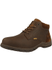 Camel Active Boots 55AVF04 XT in hellbraun