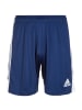 adidas Performance Funktionsshorts Tastigo 19 in dunkelblau / weiß