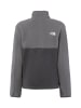 The North Face Sweatjacke Yumiori in grau