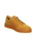 Think! Sneakers Low HONEY in Caramel/Kombi