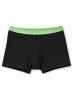 Calida New Boxer, 3er-Pack in polychrome