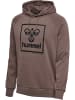 Hummel Hummel Kapuzenpullover Hmlisam Herren in IRON