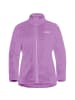Jack Wolfskin Funktionsjacken ROTWAND in Lila4643