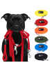 Reichstadt RS Pets Hundeleine Texturierte PVC in Red