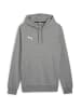 Puma Sweatshirt teamGOAL Casuals Hoody in grau