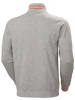 Helly Hansen Pullover in Grau