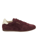 GANT Footwear Sneaker in Wine