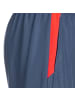 Puma Trainingsshorts TeamLIGA Training in blau / rot