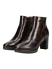 Nero Giardini Stiefelette in Dunkelbraun