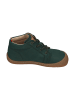 KOEL Lauflernschuhe DELI 2.0 in grün